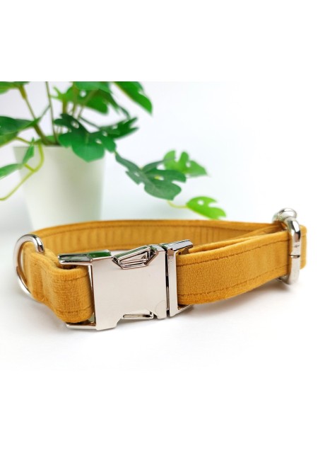 Handmade Soft Velvet Dog Collar | 3 Sizes | Colour: Mustard | Finish: Silver
