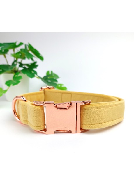 Handmade Soft Velvet Dog Collar | 3 Sizes | Colour: Pastel Yellow | Finish: Rose Gold