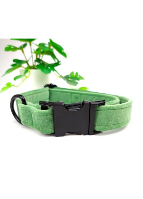 Handmade Soft Velvet Dog Collar | 3 Sizes | Colour: Pistachio Green | Finish: Black