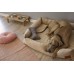 Dog Bowls Set Beech Wood Skandy Double Pet Cat Stainless Steel Medium